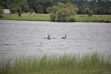 108 Hammock View, Aydlett, NC 27916 - photo 6