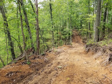 0 Hurricane Creek Rd unit 2153987, Linden, TN 37096 - photo 6