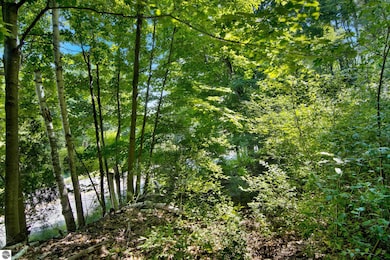 Lot 27 Bunker Hill Rd, Williamsburg, MI 49690 - photo 4