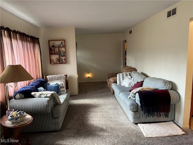 1805 W 19th St, Ashtabula, OH 44004 - photo 6