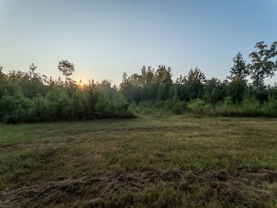 254 Putnam Rd unit LotWP001, Pickens, MS 39146 - photo 4