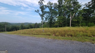 264 Riverview Dr, Ellijay, GA 30540 - photo 3