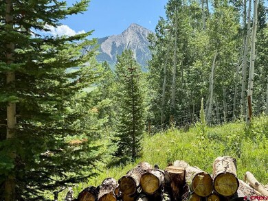 227 Phoenix Way, Crested Butte, CO 81224 - photo 4