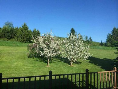 Back Yard.