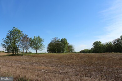 0 Not On File unit 1002424084, Berryville, VA 22611 - photo 4