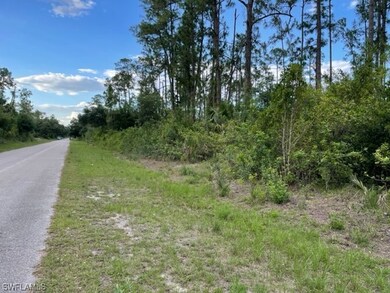 1808 Robert Ave, Lehigh Acres, FL 33972 - photo 6