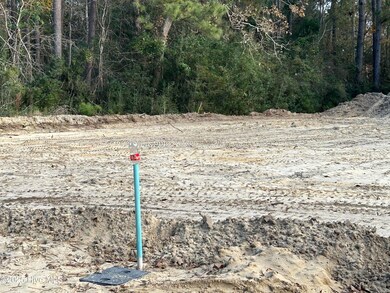 108 Stones Throw Ln, Wilmington, NC 28411 - photo 3