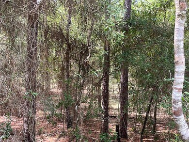 00 SW 206th Ct, Dunnellon, FL 34431 - photo 3