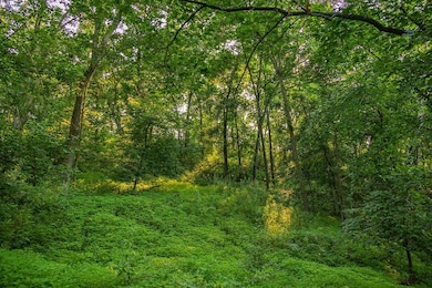 N34701 County Rd N, Blair, WI 54616 - photo 5