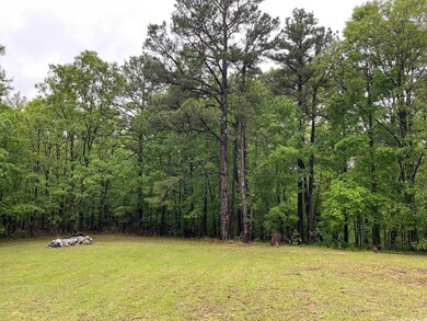 4439 Greene 609 Rd, Paragould, AR 72450 - photo 4