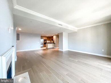 The Ritz-Carlton Residences, Baltimore, MD 21230 - photo 7