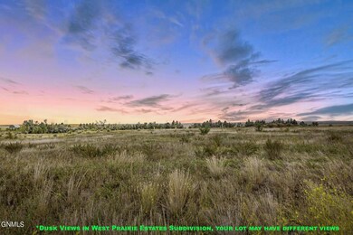 Tbd Hoss St, Round Prairie, ND 58801 - photo 4