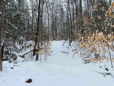 00 Deer Valley Rd unit 477, Bradford, NH 03221 - photo 3