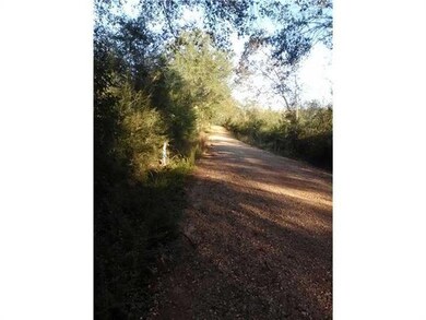 Photo.