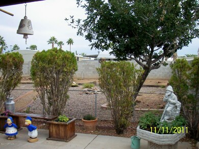 BIG BACK YARD