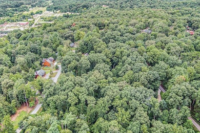 Lot 72 Huron Cir, Ellijay, GA 30540 - photo 6