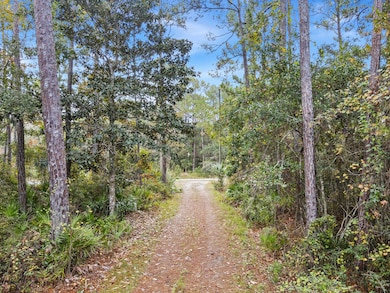 100 Melanie Ln, Apalachicola, FL 32320 - photo 7