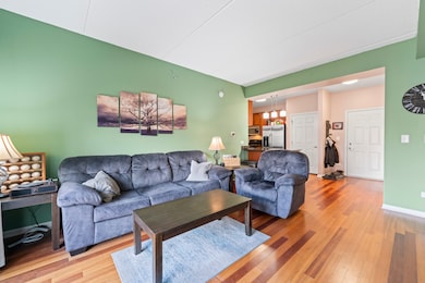 Prairie Town Center unit 211, Oak Lawn, IL 60453 - photo 5