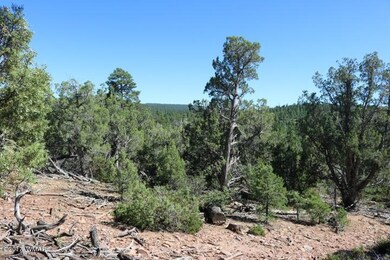IMG_2580 (Small)