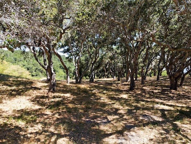 4 Holding Field Run, Carmel-By-the-sea, CA 93923 - photo 7