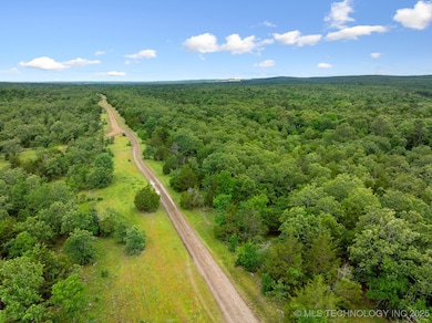 25 Tram Trail, Rattan, OK 74562 - photo 6