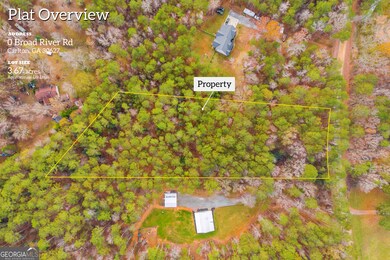 0 Broad River Rd unit 10650042, Carlton, GA 30627 - photo 2