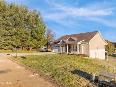 260 Par Ln, Greeneville, TN 37743 - photo 3