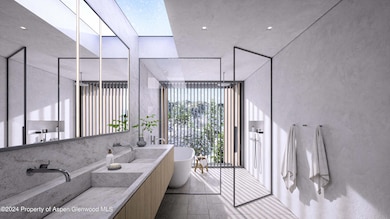 1212 E Hopkins Ave, Aspen, CO 81611 - photo 6