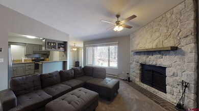 255 Pine Ridge Loop unit C5, Durango, CO 81301 - photo 5