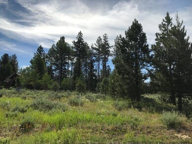 Partially Wooded Lot