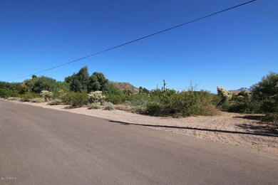 mesa lot 8.jpg