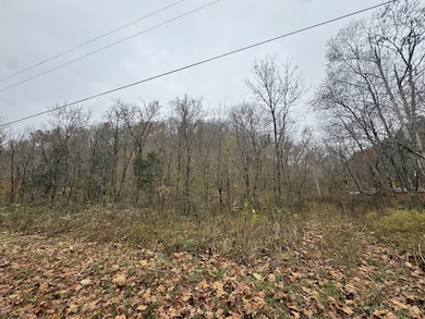 0 Pine Lick Rd unit RTC3043362, Whitleyville, TN 38588 - photo 2