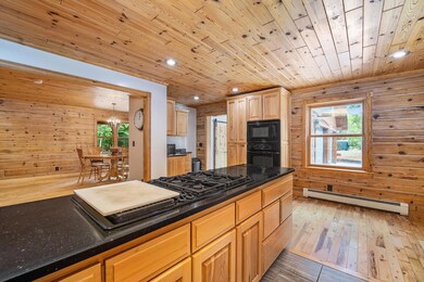 8751 Stoney Ridge Rd, Vanderbilt, MI 49795 - photo 7