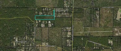 xx Moody Ln, Crawfordville, FL 32327 - photo 3