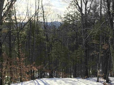 230 Circuit Rd, Ossipee, NH 03864 - photo 4