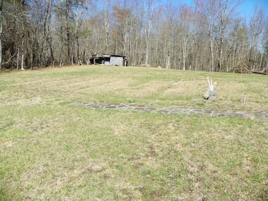 0 Turkey Scratch Rd, Spencer, TN 38585 - photo 5