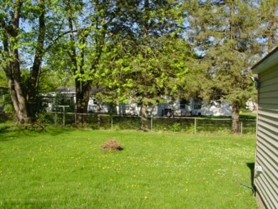 Back yard