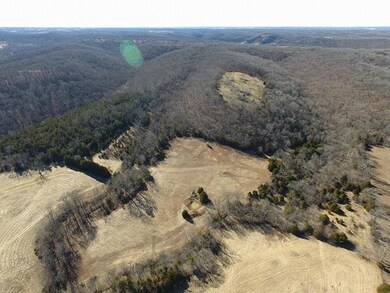 Tbd Frd 1195, Jenkins, MO 65605 - photo 4