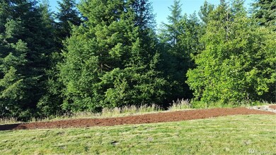 20533 197th Ave E, Orting, WA 98360 - photo 5