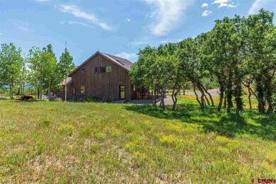 1971 Sheep Springs, Durango, CO 81301 - photo 3