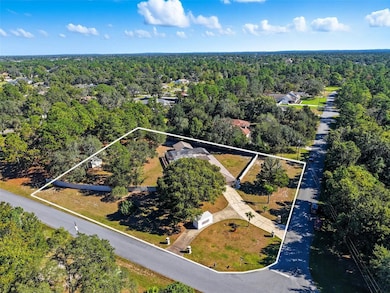 13115 Whitmarsh St, Spring Hill, FL 34609 - photo 7