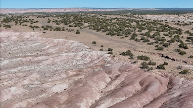 Unnamed Dirt Rd unit Apache AZ, Sanders, AZ 85936 - photo 5