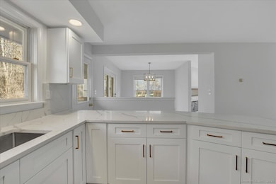 10 Victorian Woods Ln unit 10, South Windsor, CT 06074 - photo 6