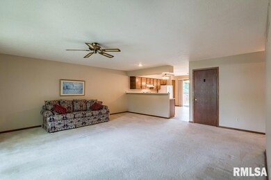 335 29th Ave unit 9D, Moline, IL 61265 - photo 3