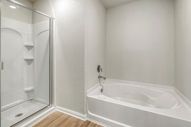 Primary Bathroom comes with a separate soaking tub