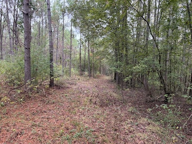 CR 2912 County Road 2912, Hughes Springs, TX 75656 - photo 3