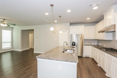 3121 Damsel Sauvage Ln, Lewisville, TX 75056 - photo 5