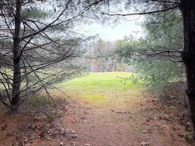 Lot 4 Emery Rd, Parsonsfield, ME 04047 - photo 3