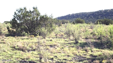 11139 Howard Mesa Loop, Williams, AZ 86046 - photo 5