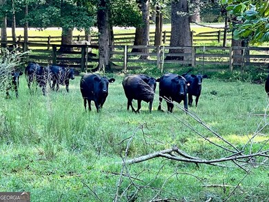 6223 Hulsey Rd, Clermont, GA 30527 - photo 4